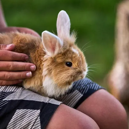 Hesselgaard Glamping Luksusowy namiot *
