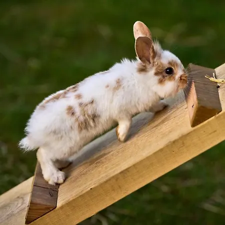 Hesselgaard Glamping Luksusowy namiot Dalby