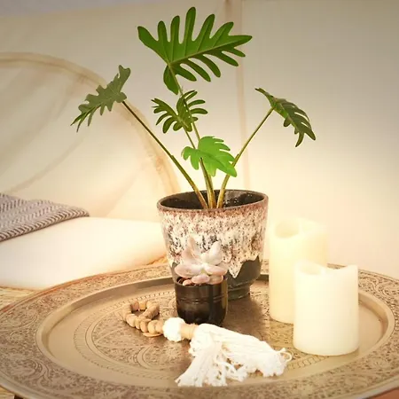 럭셔리텐트 Hesselgaard Glamping 달비
