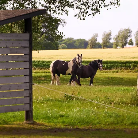 Luksusowy namiot Hesselgaard Glamping Dalby