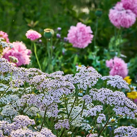 Hesselgaard Glamping Luksusowy namiot Dalby