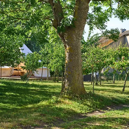 Campo de lujo Hesselgaard Glamping *