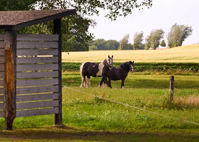 럭셔리텐트 Hesselgaard Glamping 달비