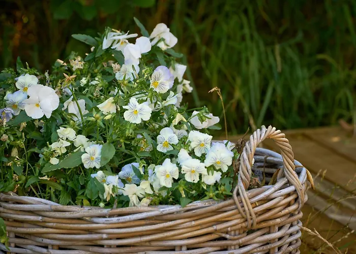 Hesselgaard Glamping *