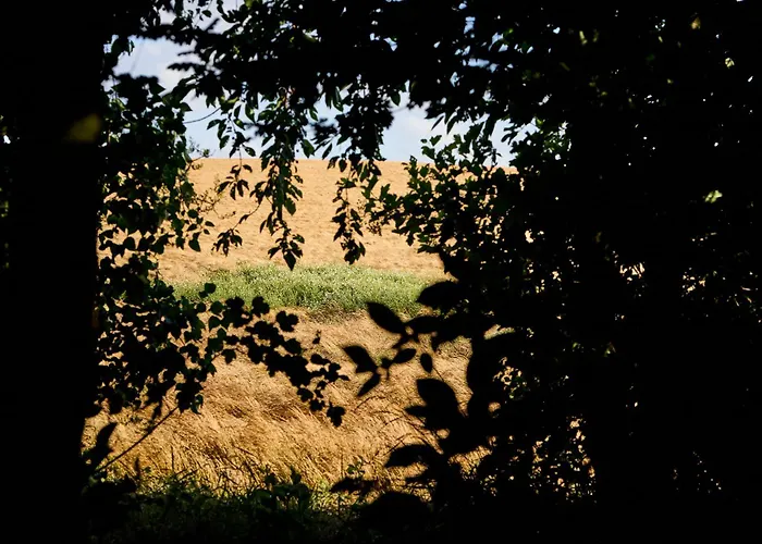 Hesselgaard Glamping 럭셔리텐트 달비