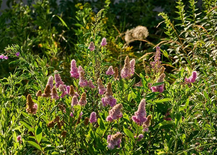 Hesselgaard Glamping 달비